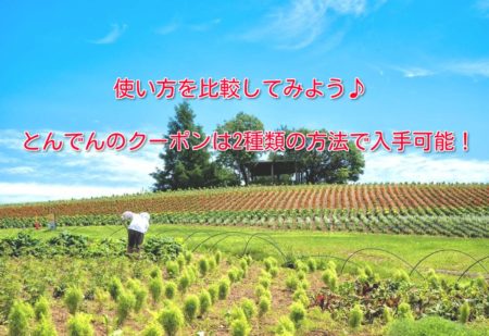 とんでんのクーポンは2種類の方法で入手可能